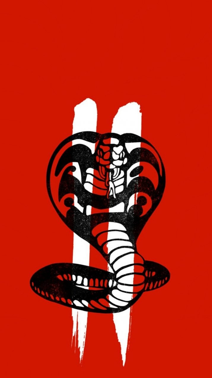 Cobra Kai Wallpaper 1