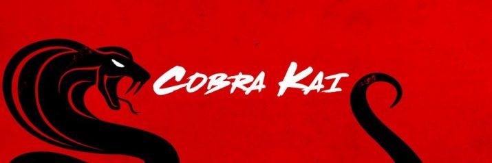 Cobra Kai Wallpaper 1
