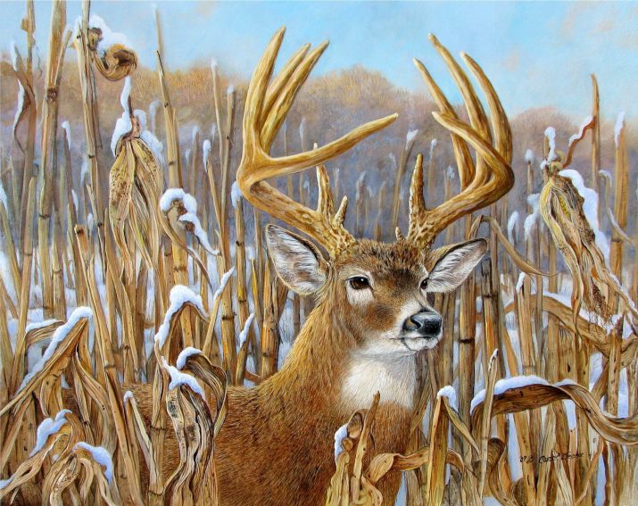 Deer Mullet Wallpaper 1