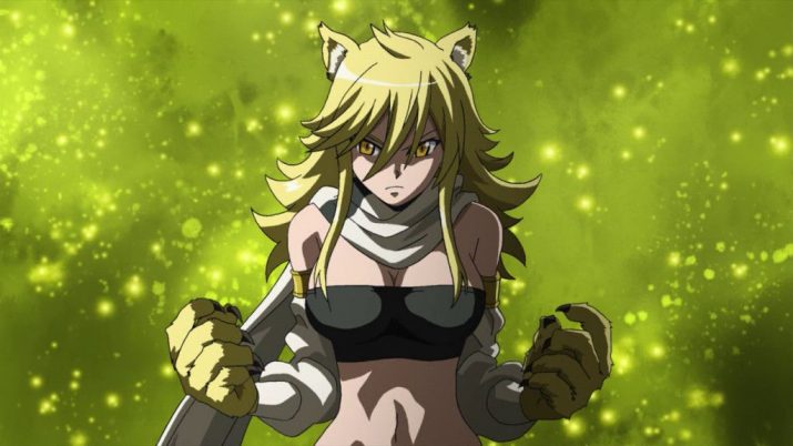 Akame Ga Kill Wallpaper 1