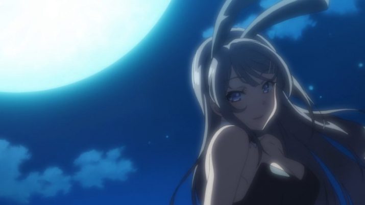 Mai Sakurajima Wallpaper 1