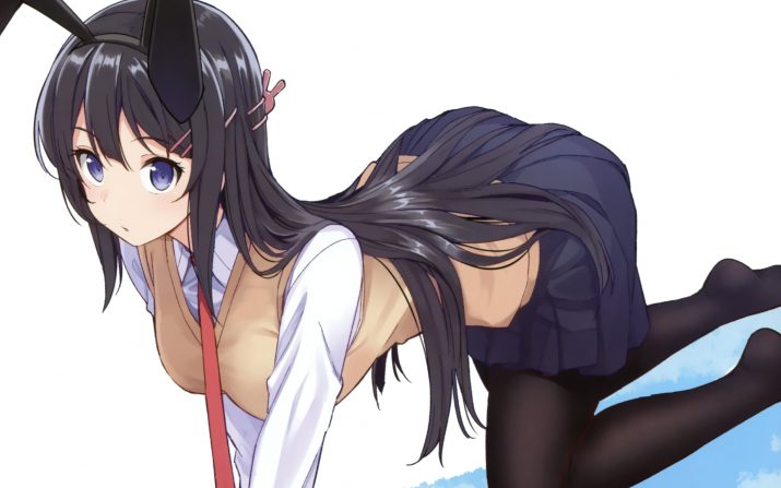 Mai Sakurajima Wallpaper 1