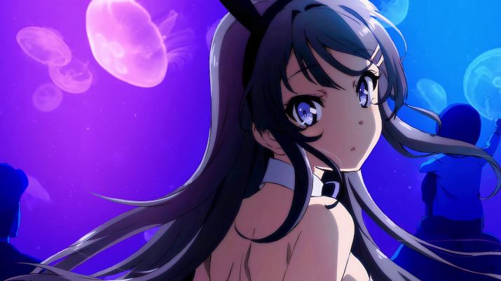 Mai Sakurajima Wallpaper 1 Mai Sakurajima Wallpaper 1