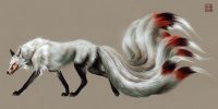 Nine Tailed Fox Wallpaper 13