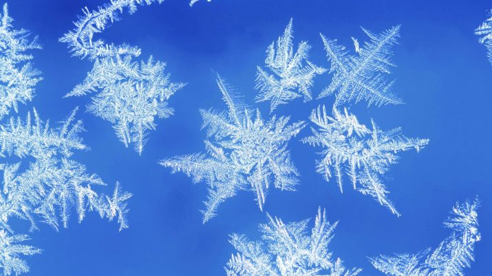 Snowflake Wallpaper 1