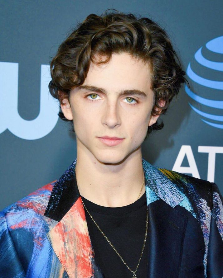 Timothee Chalamet Wallpaper 1 Timothee Chalamet Wallpaper 1
