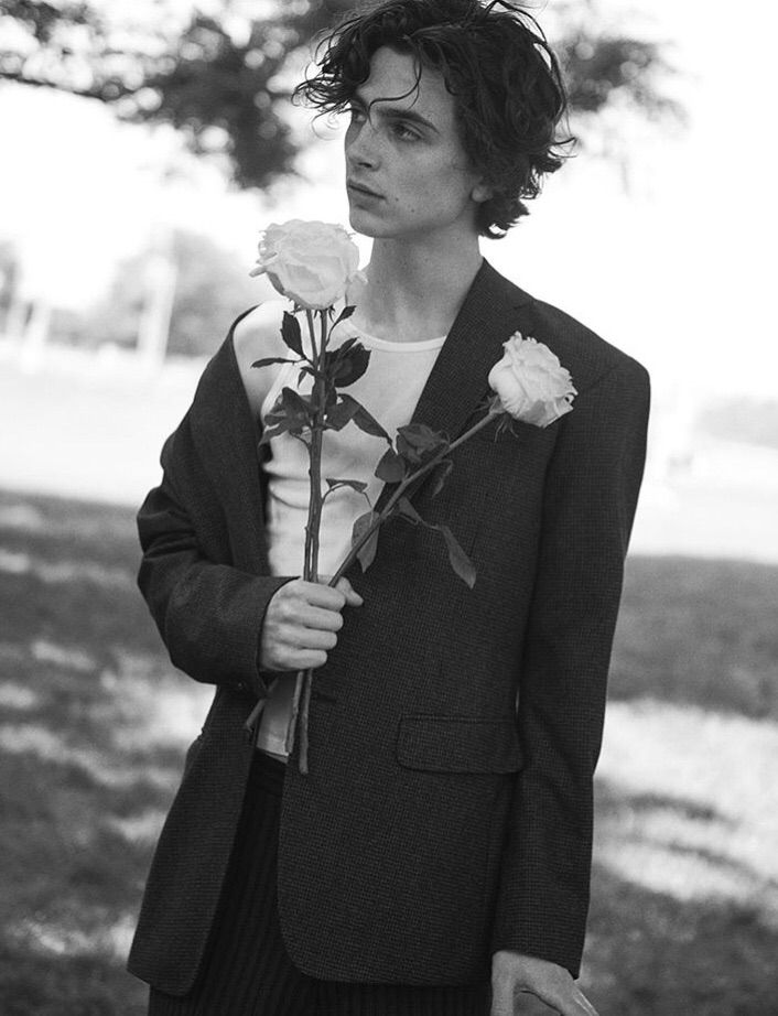 Timothee Chalamet Wallpaper 1 Timothee Chalamet Wallpaper 1