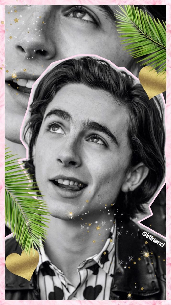 Timothee Chalamet Wallpaper 1 Timothee Chalamet Wallpaper 1