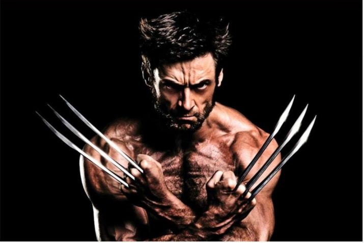 Wolverine Wallpaper 1 Wolverine Wallpaper 1