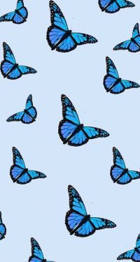 Butterfly Wallpaper 29