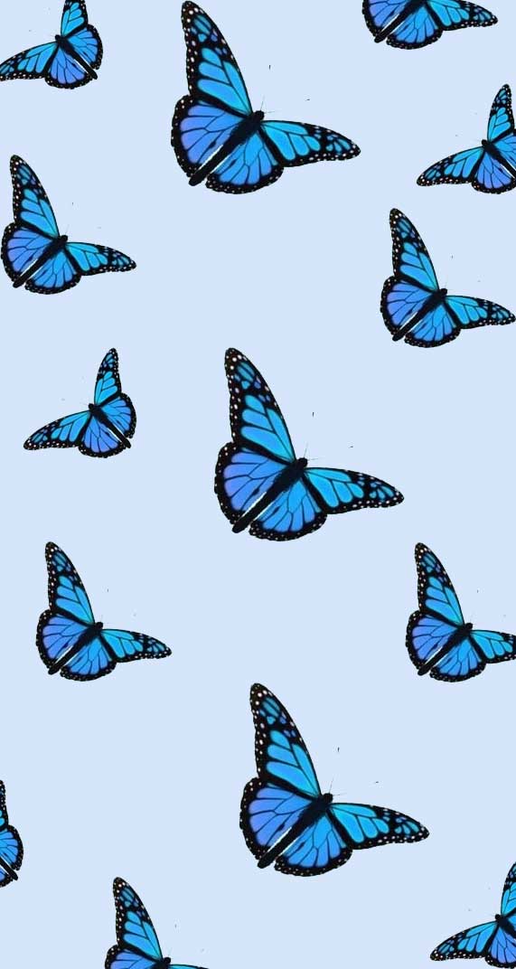 Butterfly Wallpaper Wallpaper Sun