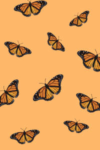 Butterfly Wallpaper 28