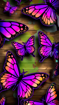 Butterfly Wallpaper 26