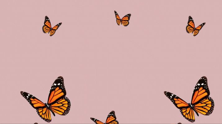 Butterfly Wallpaper 1