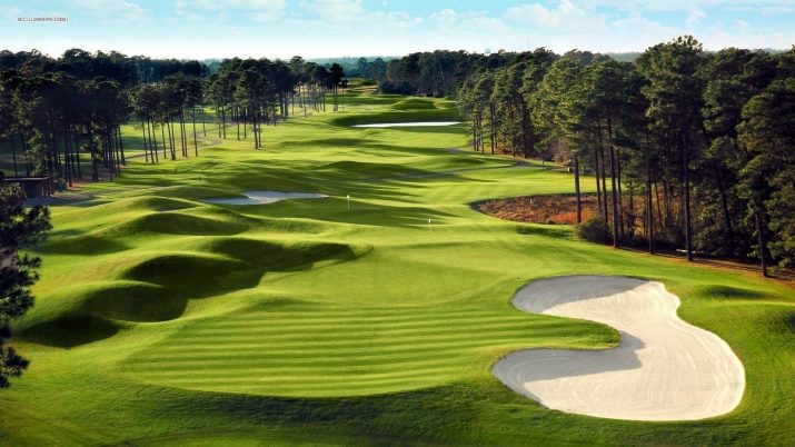 Golf Course Wallpaper 1