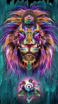 Lion Wallpaper 47