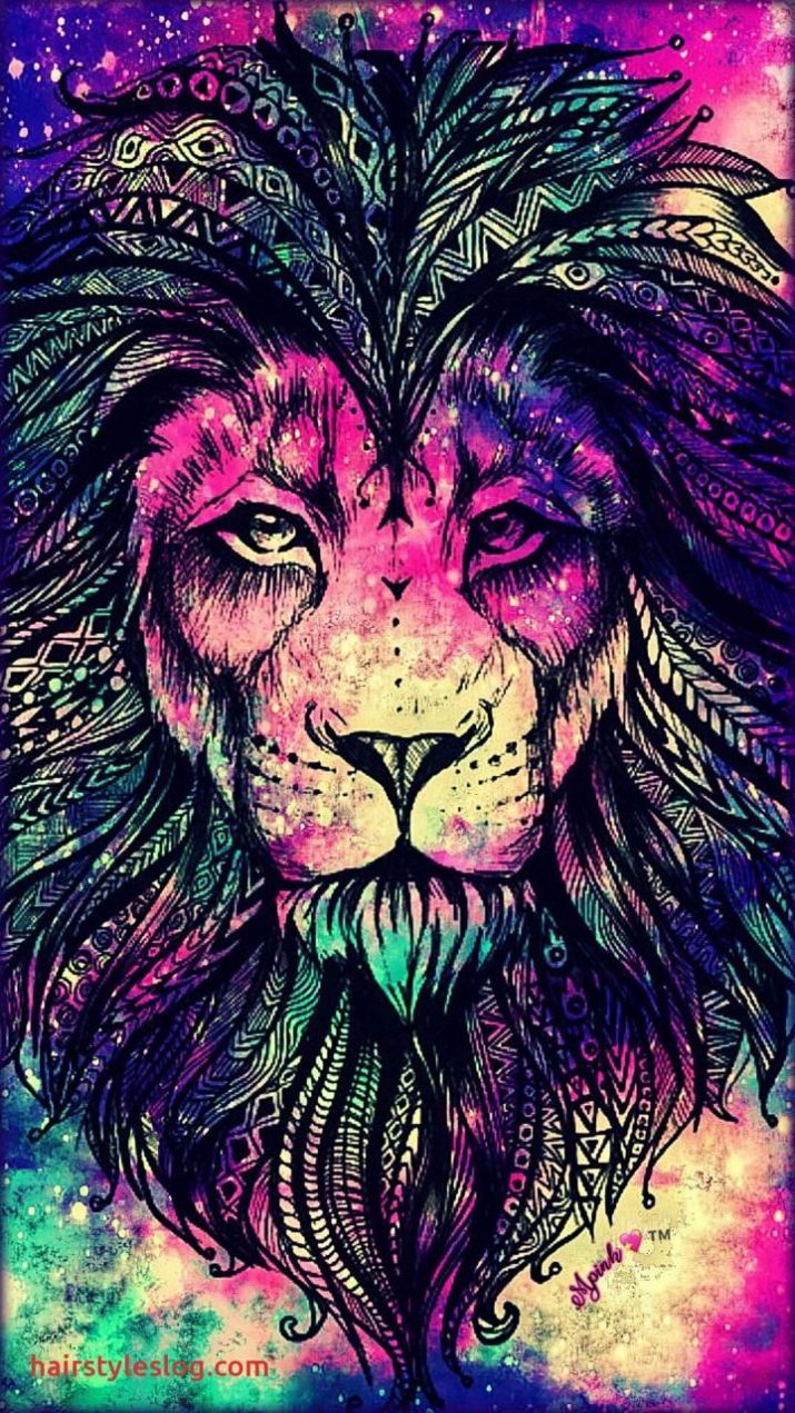 Lion Wallpaper 1