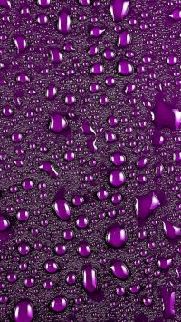 Purple Wallpaper 16