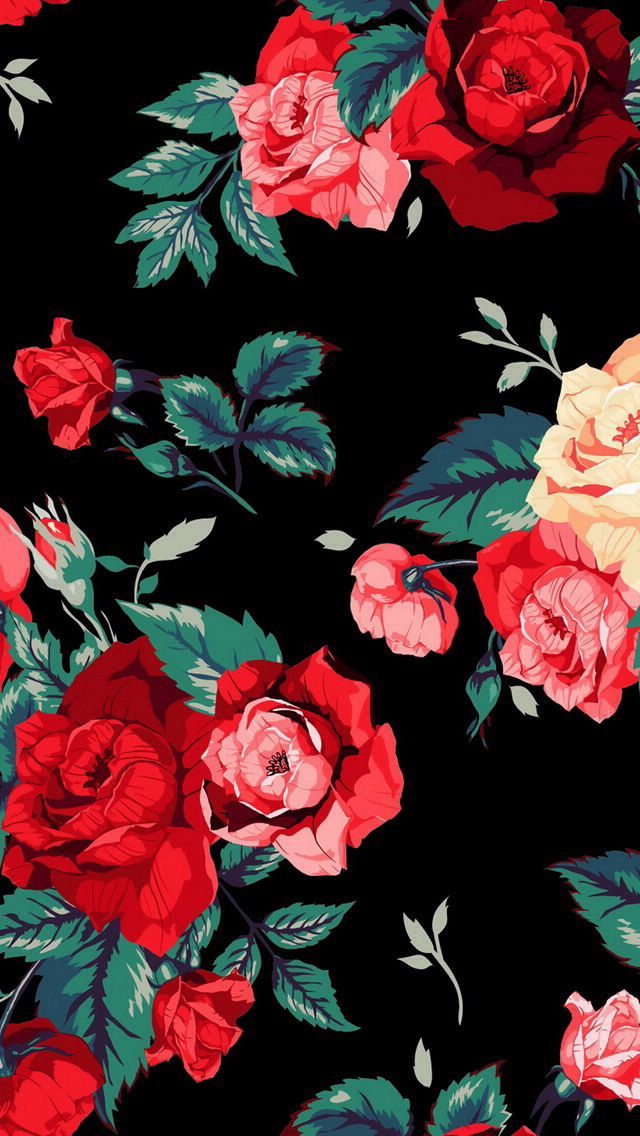 Roses Wallpapers - Wallpaper Sun