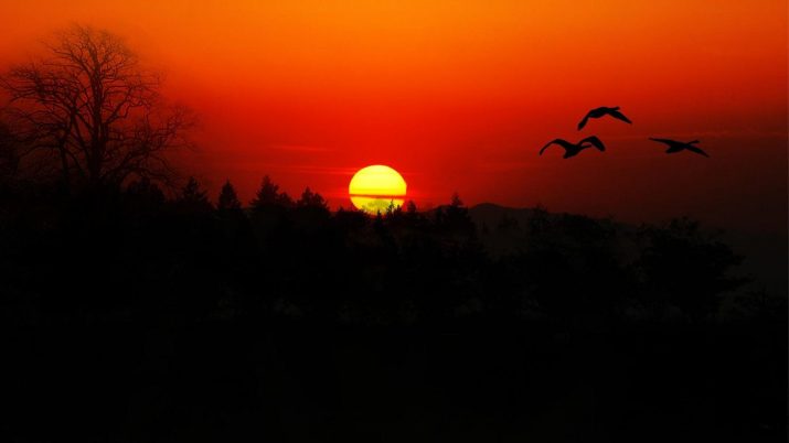 Sunset Wallpaper 1 Sunset Wallpaper 1