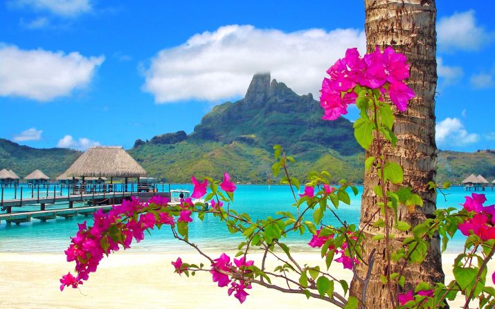 Beach Wallpaper 1 Beach Wallpaper 1