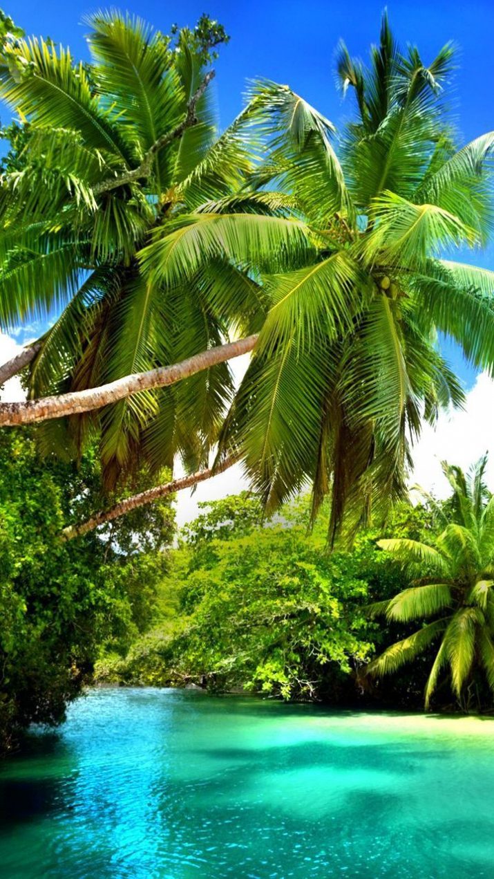 Hello Summer Wallpaper 1