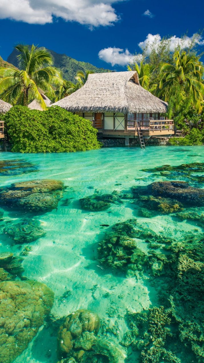 Hello Summer Wallpaper 1