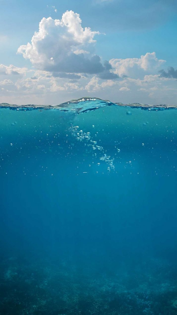 Underwater Wallpaper 1 Underwater Wallpaper 1