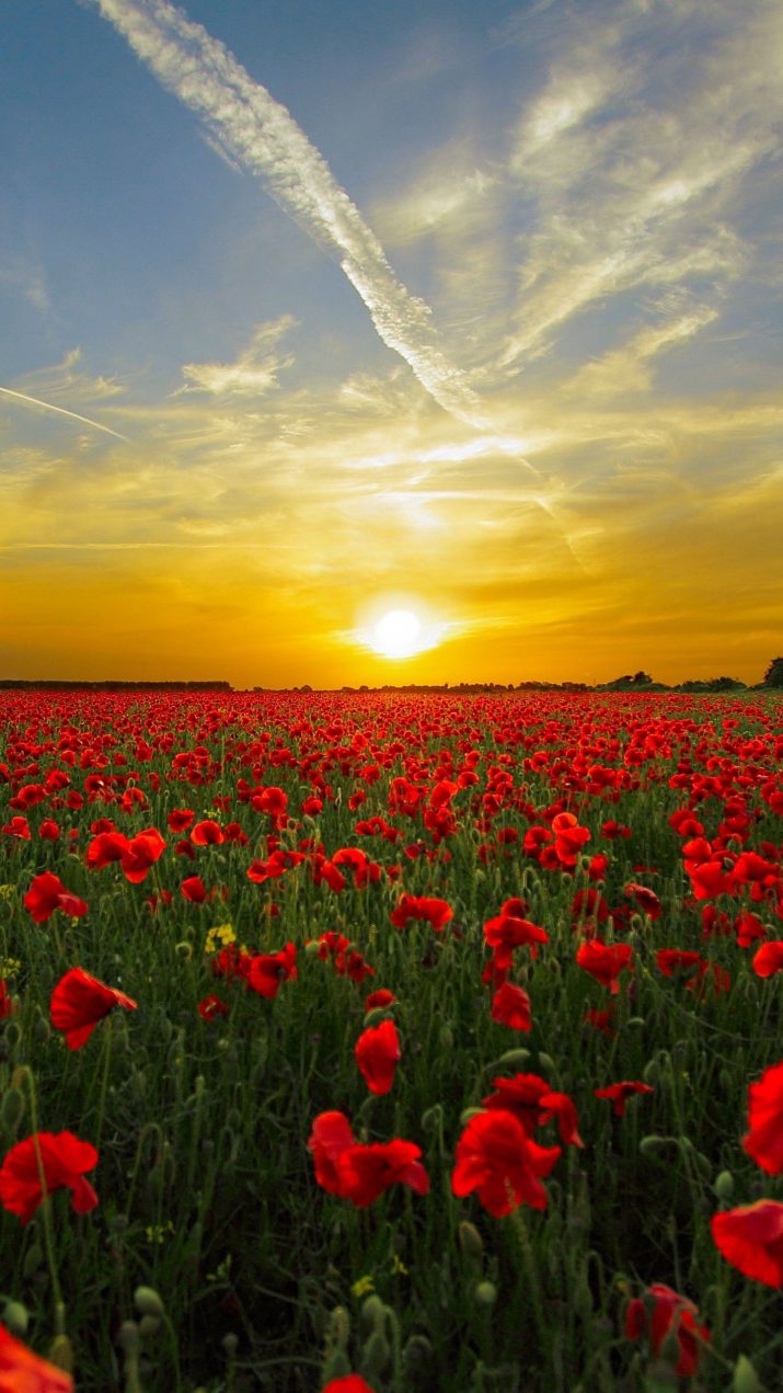 Spring Wallpaper 1 Spring Wallpaper 1