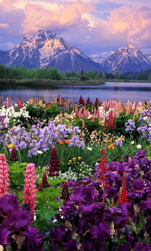 Spring Wallpaper 1 Spring Wallpaper 1