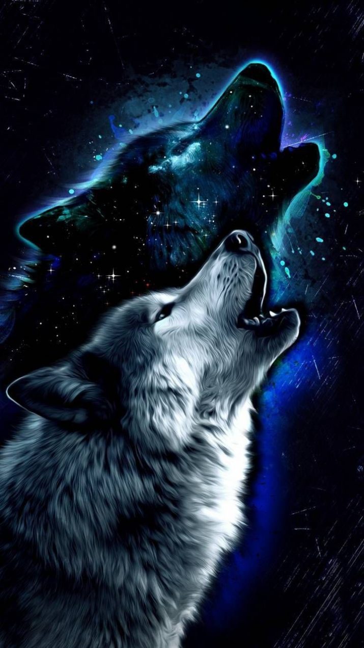 Galaxy Wolf Wallpaper 1