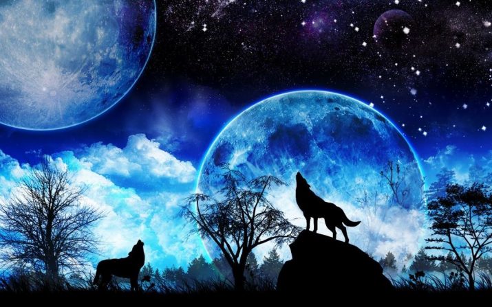 Galaxy Wolf Wallpaper 1