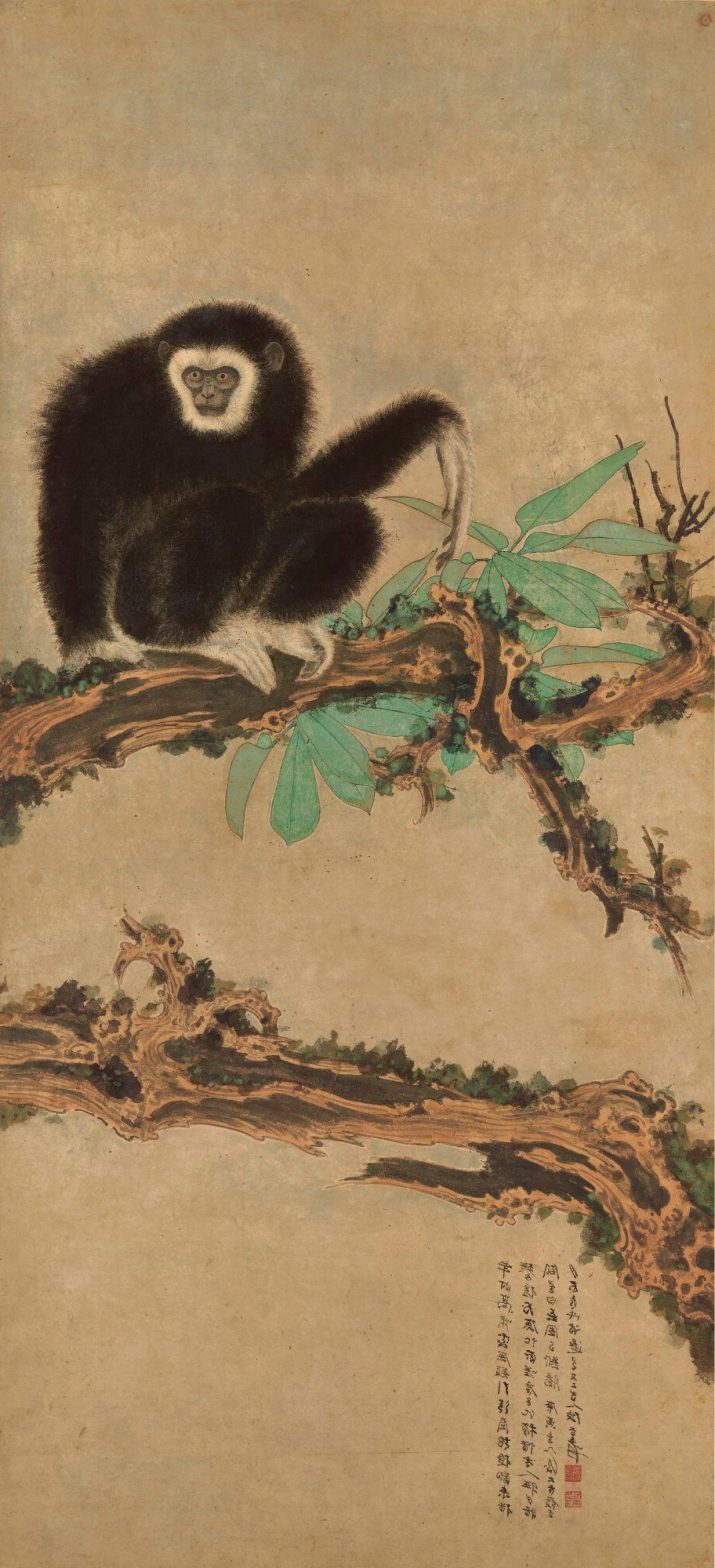 Gibbon Wallpaper 1