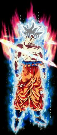 Goku Ultra Instinct Wallpaper 20