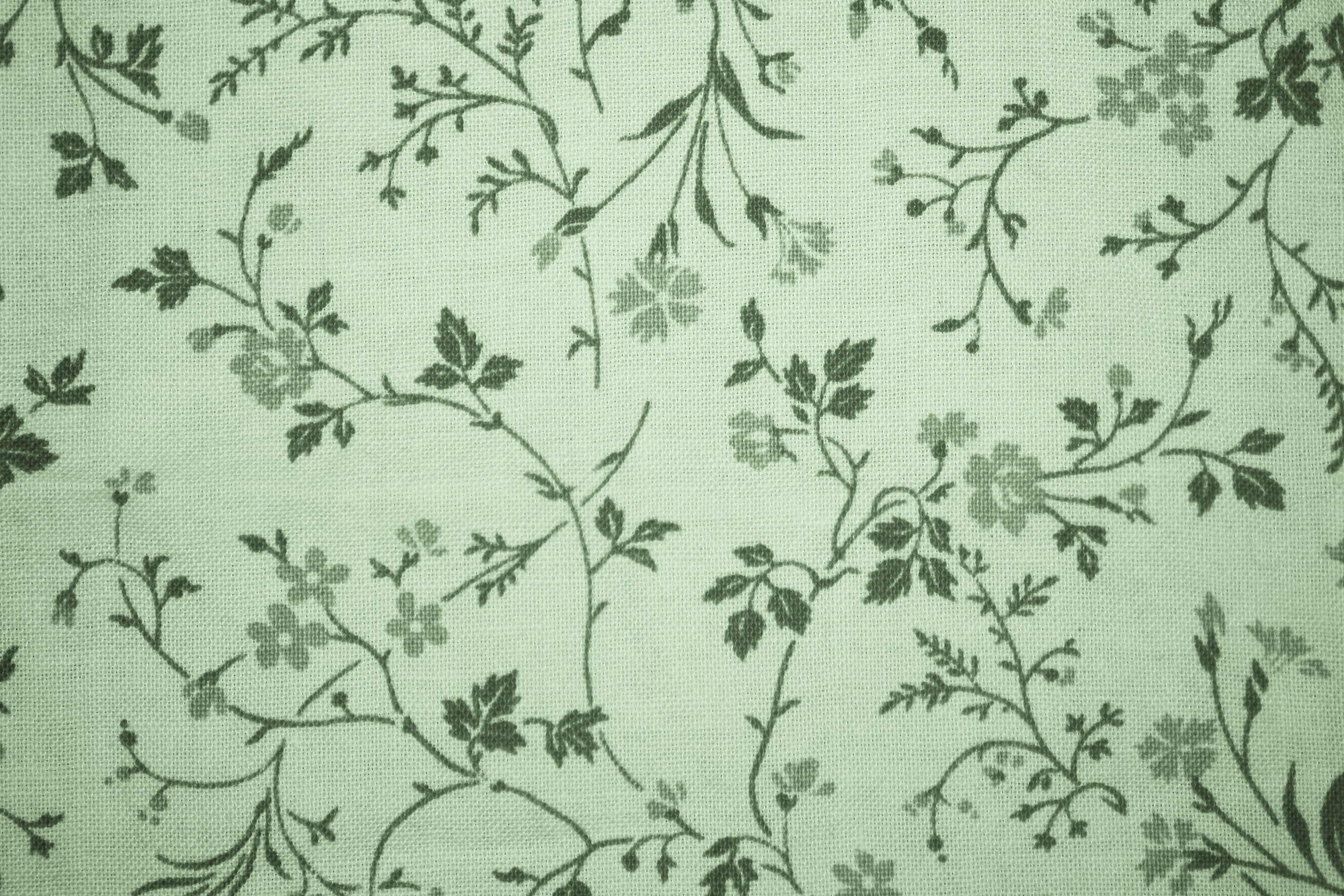Sage Green Wallpaper - Wallpaper Sun