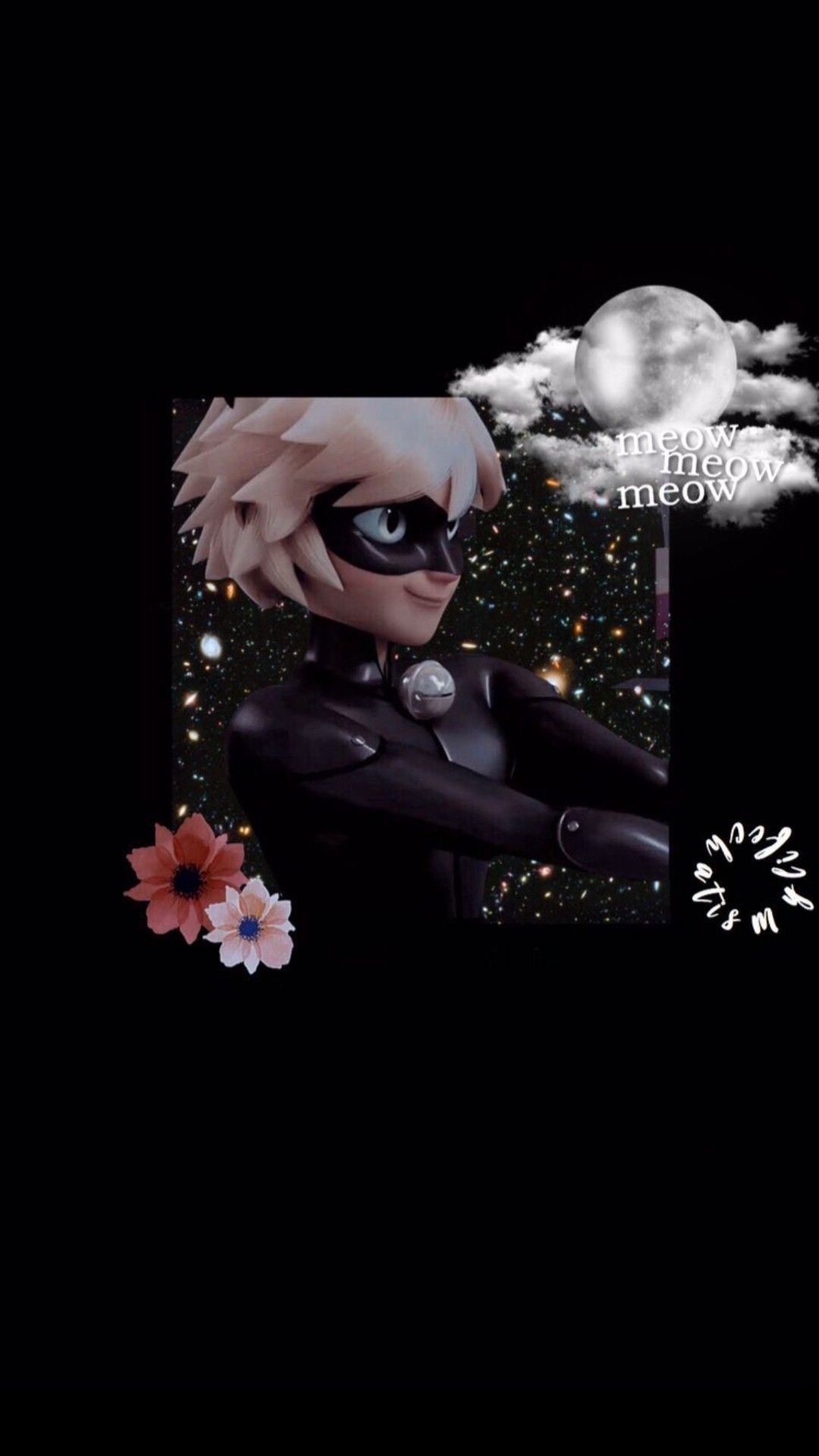Featured image of post View 29 Aesthetic Cat Noir Background