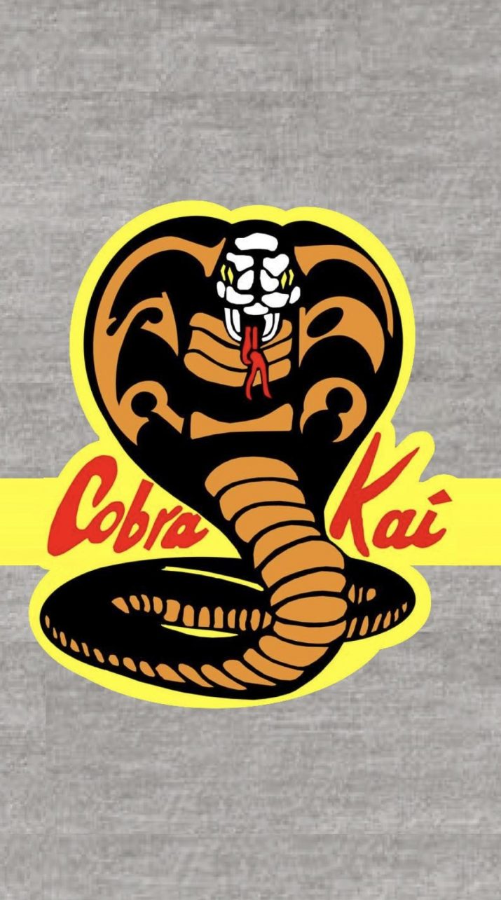 Cobra Kai Wallpaper 1 Cobra Kai Wallpaper 1