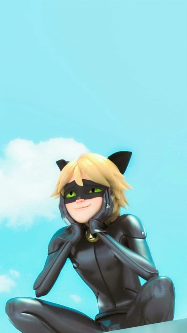 Cat Noir Wallpaper 1