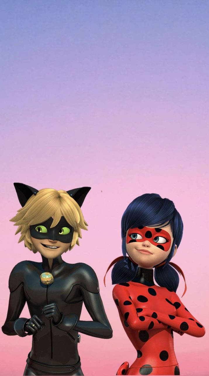 Cat Noir Wallpaper 1