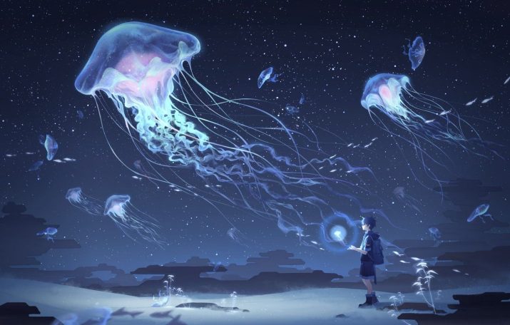 Jellyfish Wallpaper 1