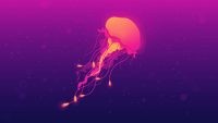 Jellyfish Wallpaper 8