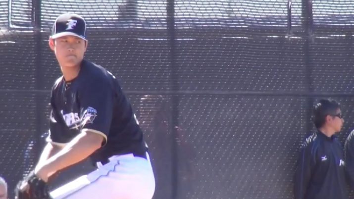 Shohei Ohtani Wallpaper 1