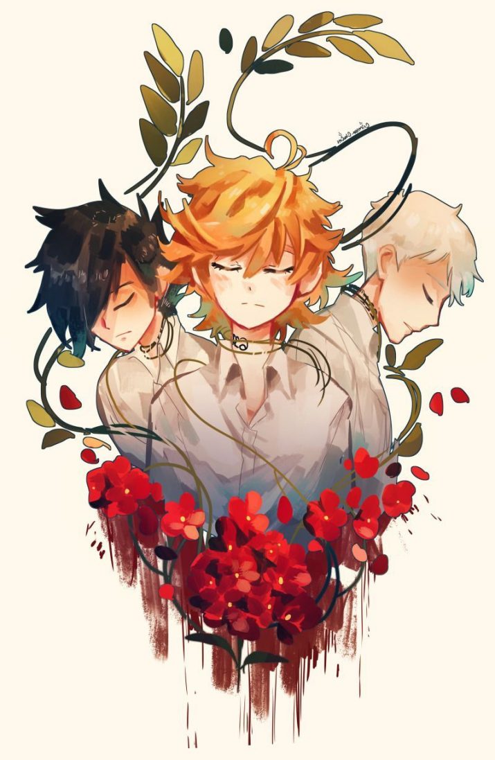 The Promised Neverland Wallpaper Wallpaper Sun