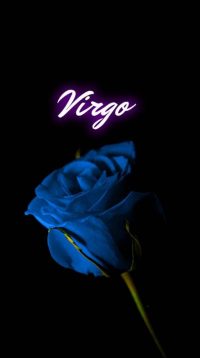 Virgo Wallpaper 4