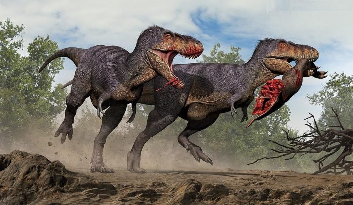 Dinosaur Wallpaper 1