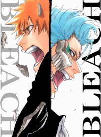 Bleach Wallpaper 1