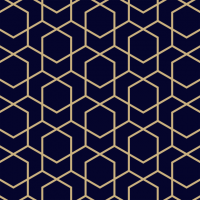 Navy and Gold Wallpaper 14