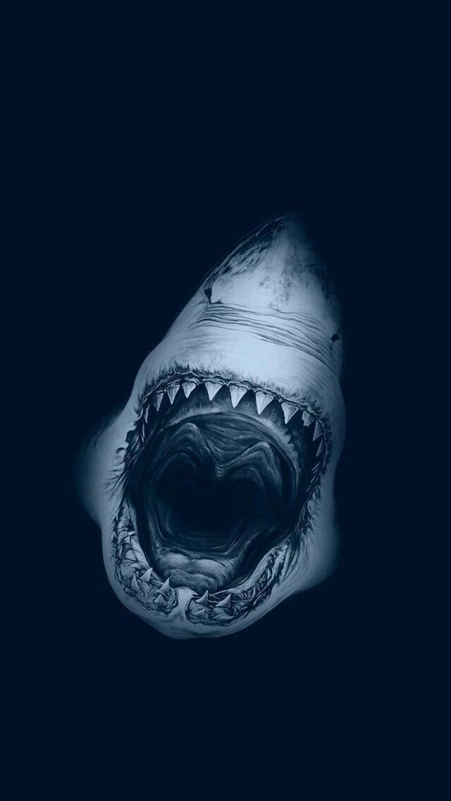 Shark Wallpaper 1