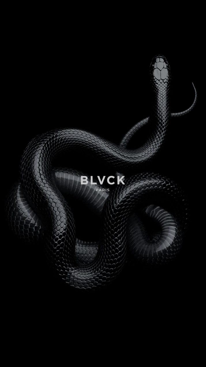 Snake Wallpaper 1