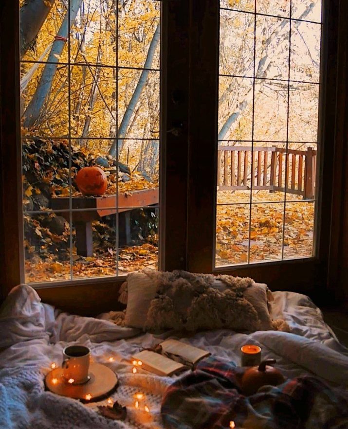 Autumn Wallpaper 1
